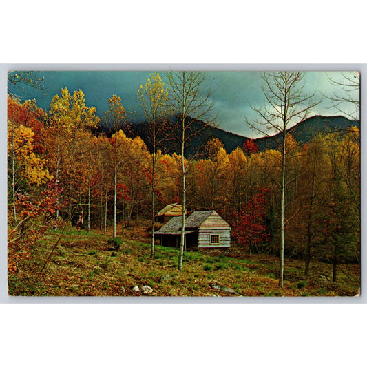 Great Smokey Mountains TN Tennessee National Park Junglebrook Homestead Postcard
