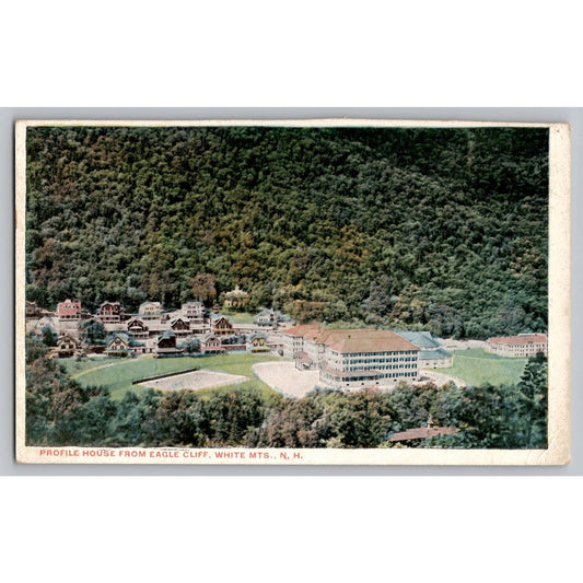 Franconia Notch NH New Hampshire Profile House Eagle Cliff White Mts Postcard