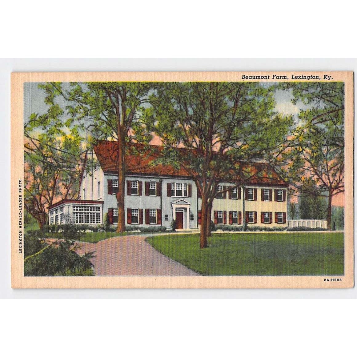 Lexington KY Kentucky Beaumont Farm White Border Postcard Unused
