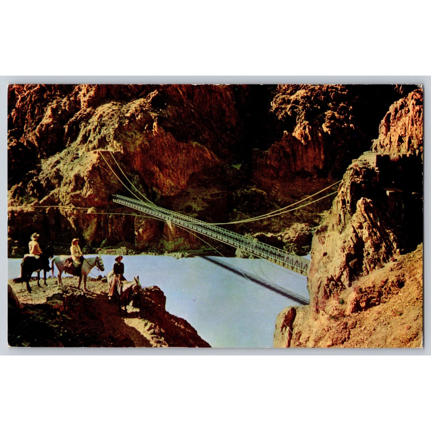 Grand Canyon AZ Arizona Kaibab Suspension Bridge Chrome postcard Fred Harvey