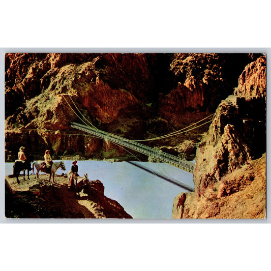 Grand Canyon AZ Arizona Kaibab Suspension Bridge Chrome postcard Fred Harvey