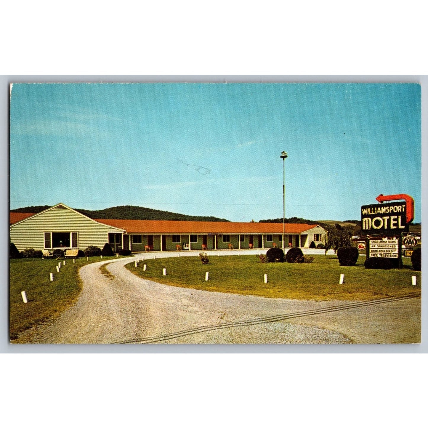 Williamsport PA Pennsylvania Williamsport Motel Chrome Postcard