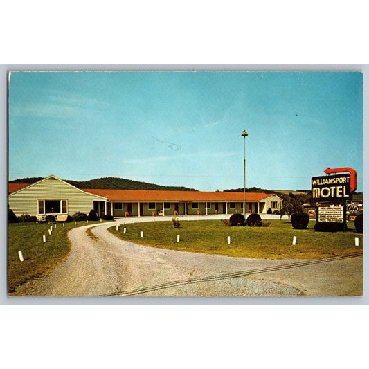 Williamsport PA Pennsylvania Williamsport Motel Chrome Postcard