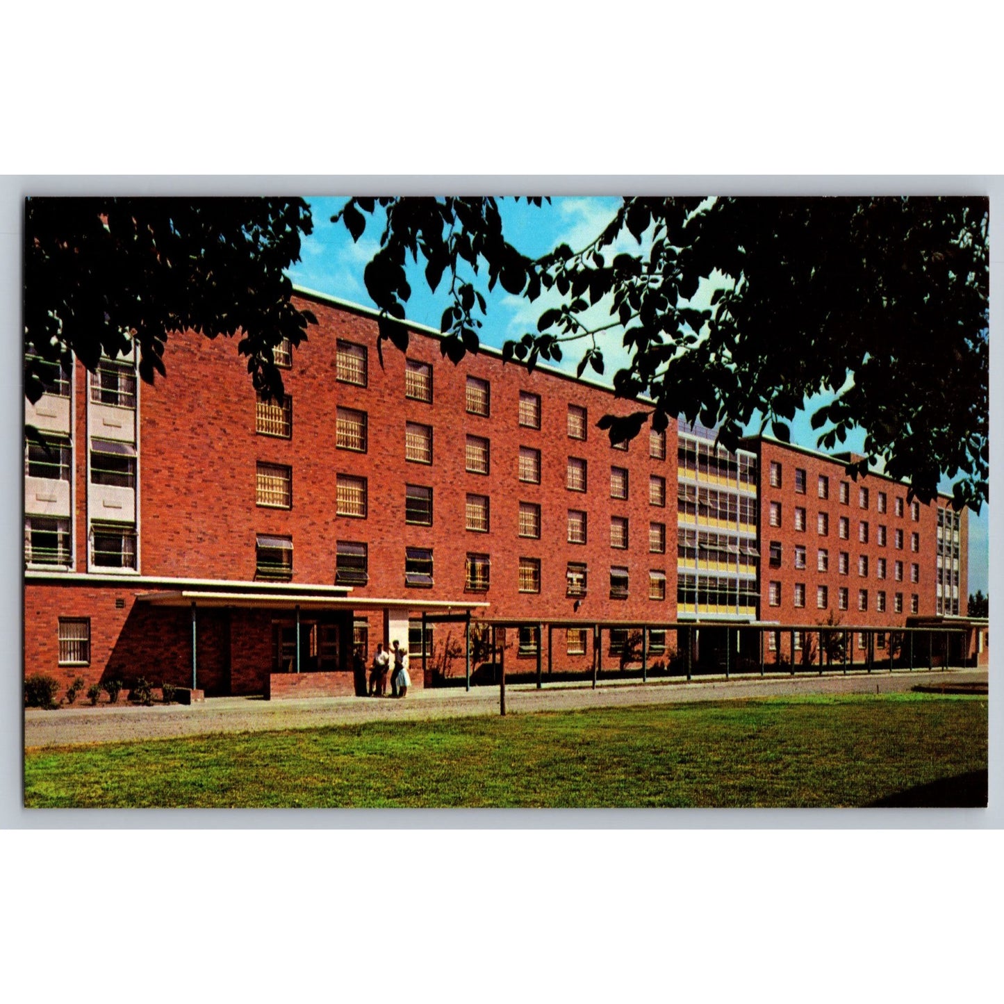 Corvallis OR Oregon State University Hawley & Cauthorn Halls Chrome Postcard