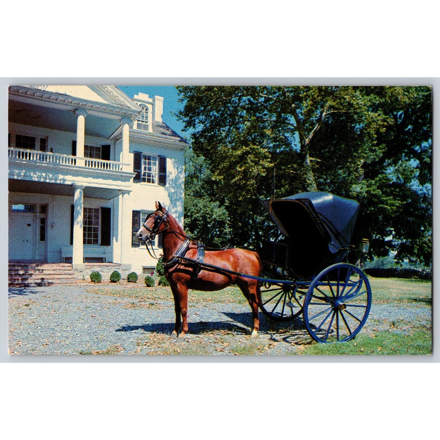 Frederick MD Maryland Rose Hill Manor Carriage Museum Chrome Postcard Unused