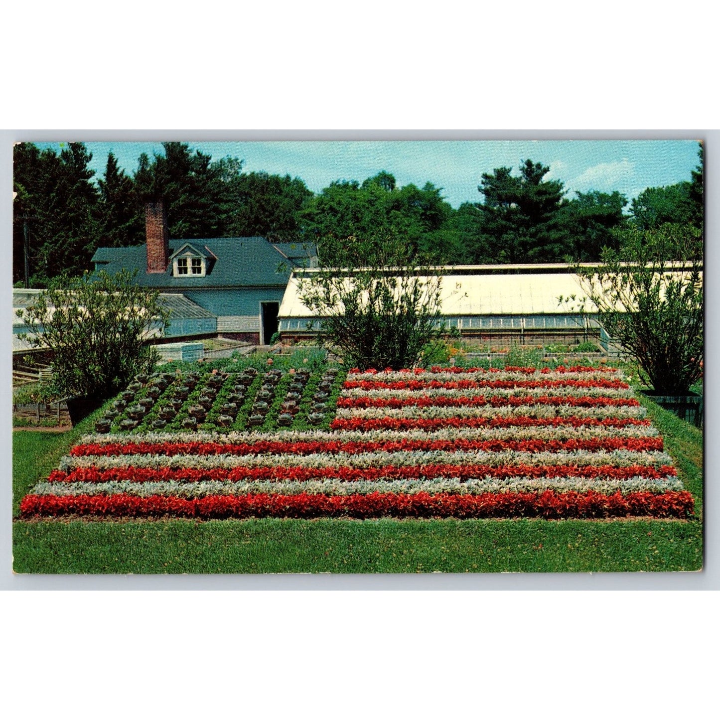 Hartford CT Connecticut Elizabeth Park Floral American Flag Chrome Postcard