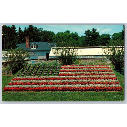 Hartford CT Connecticut Elizabeth Park Floral American Flag Chrome Postcard