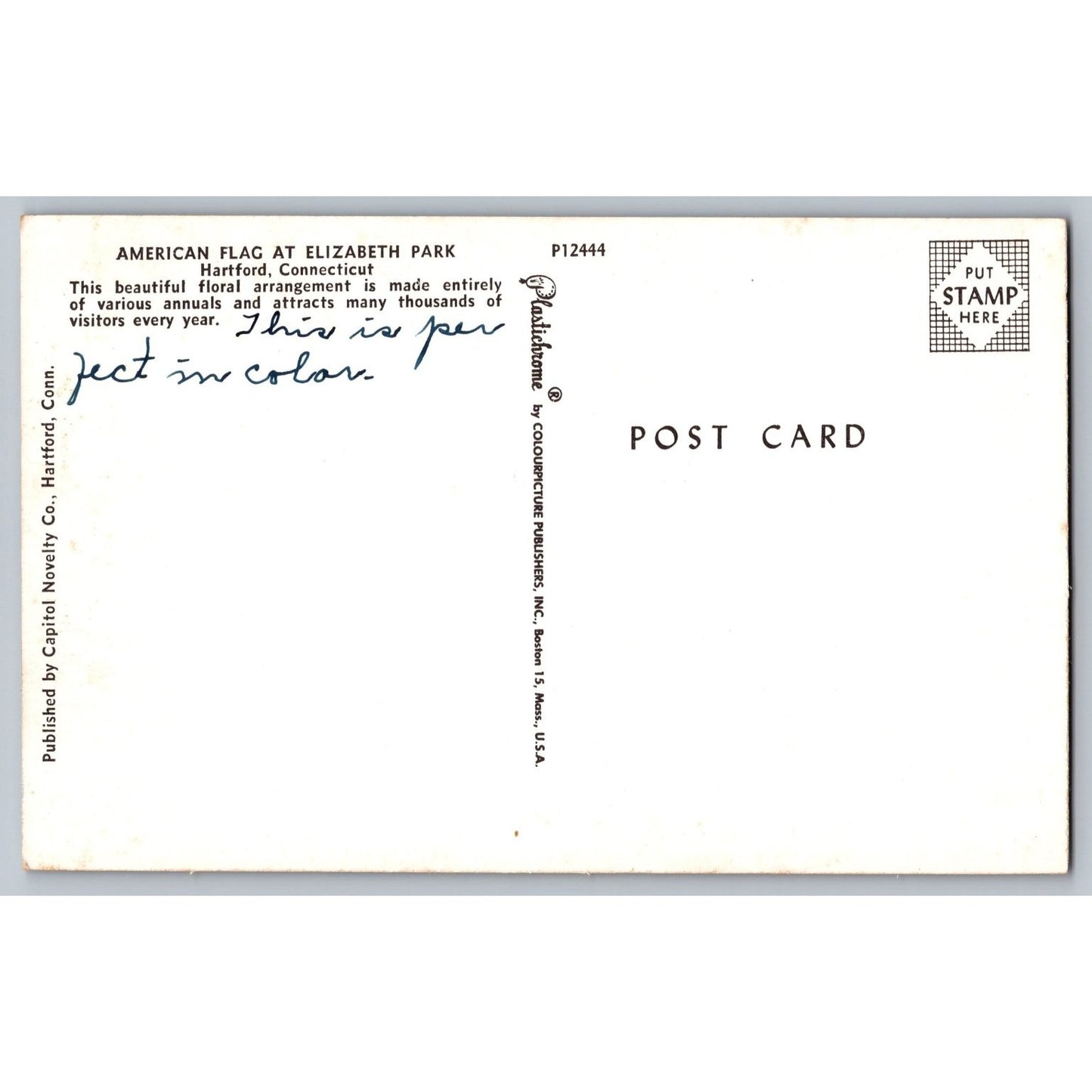 Hartford CT Connecticut Elizabeth Park Floral American Flag Chrome Postcard
