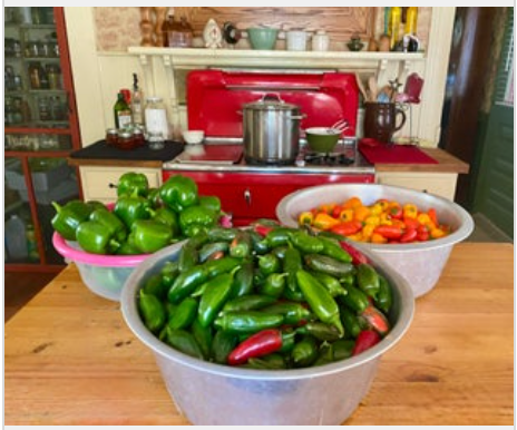 Salt Jalapeno Finishing Salt 2 oz