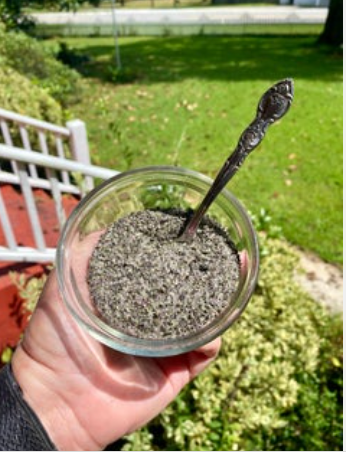 Salt Basil 2 oz