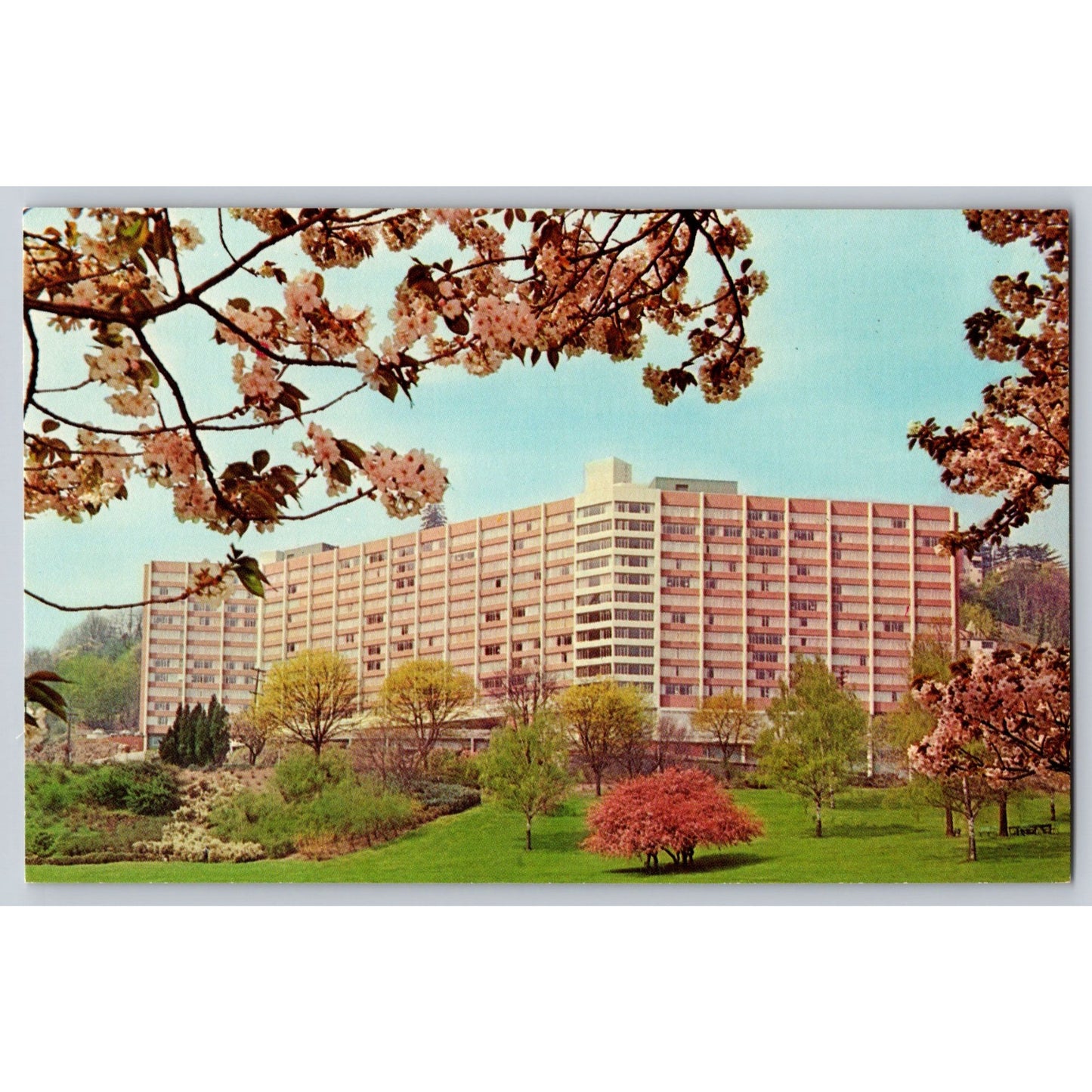 Portland OR Oregon Terwilliger Plaza Senior Cooperative Chrome Postcard