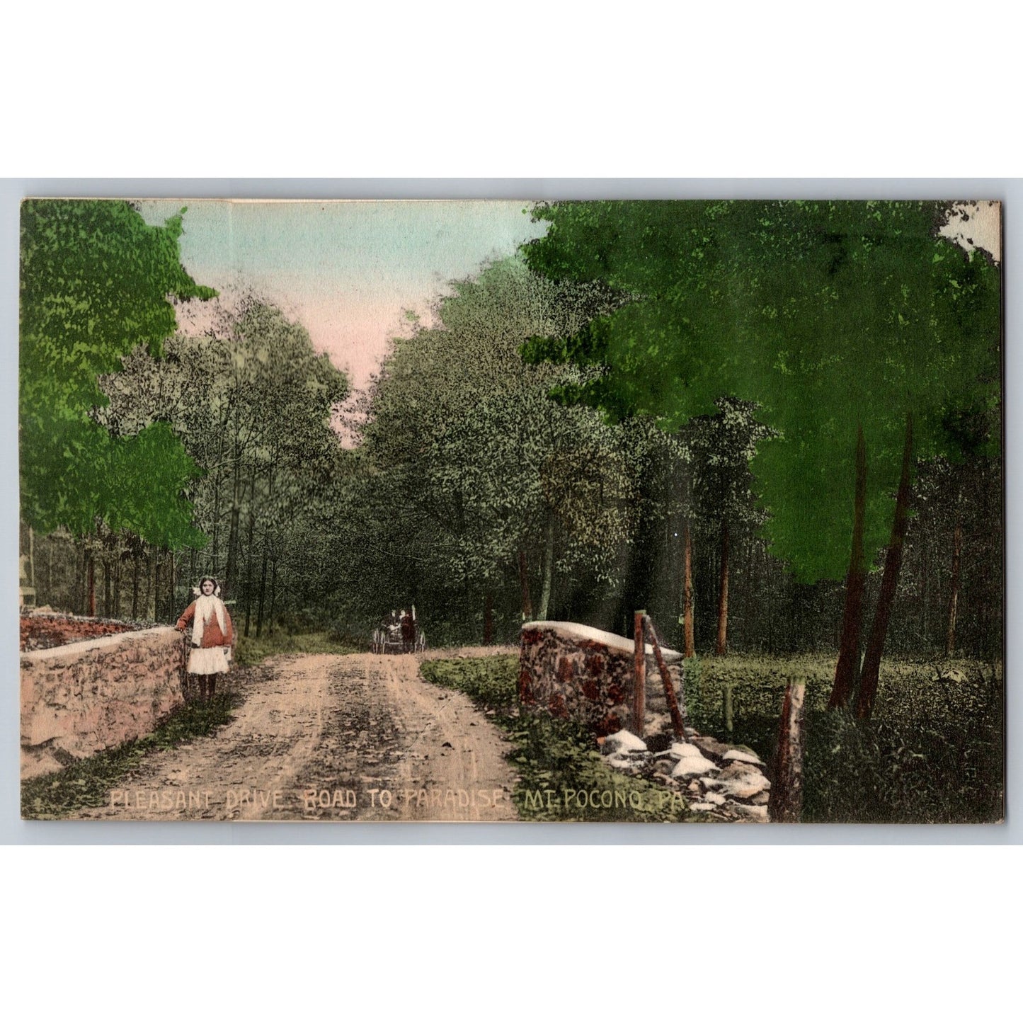 Pocono PA Pennsylvania Pleasant Drive Road To Paradise Divided Back Postcard