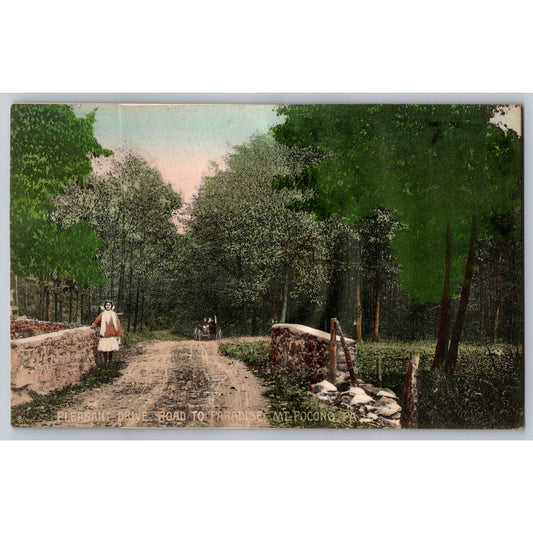 Pocono PA Pennsylvania Pleasant Drive Road To Paradise Divided Back Postcard