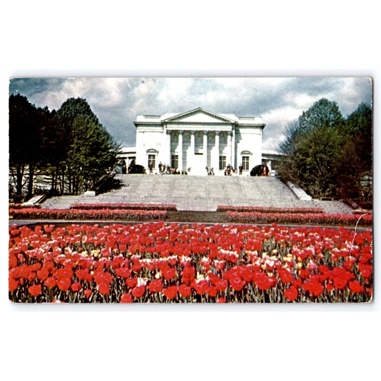 Arlington VA Virginia Tomb of Unknown Soldier National Cemetery Chrome Postcard