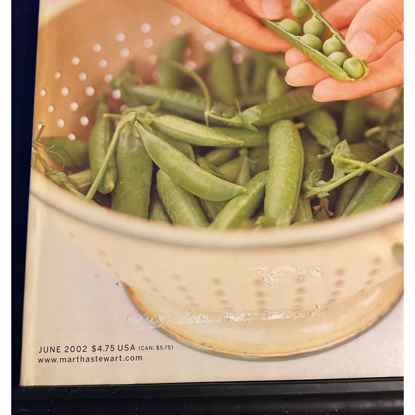 Martha Stewart Living Magazine #103 June 2002 Peas Family Reunion Cooking Garden