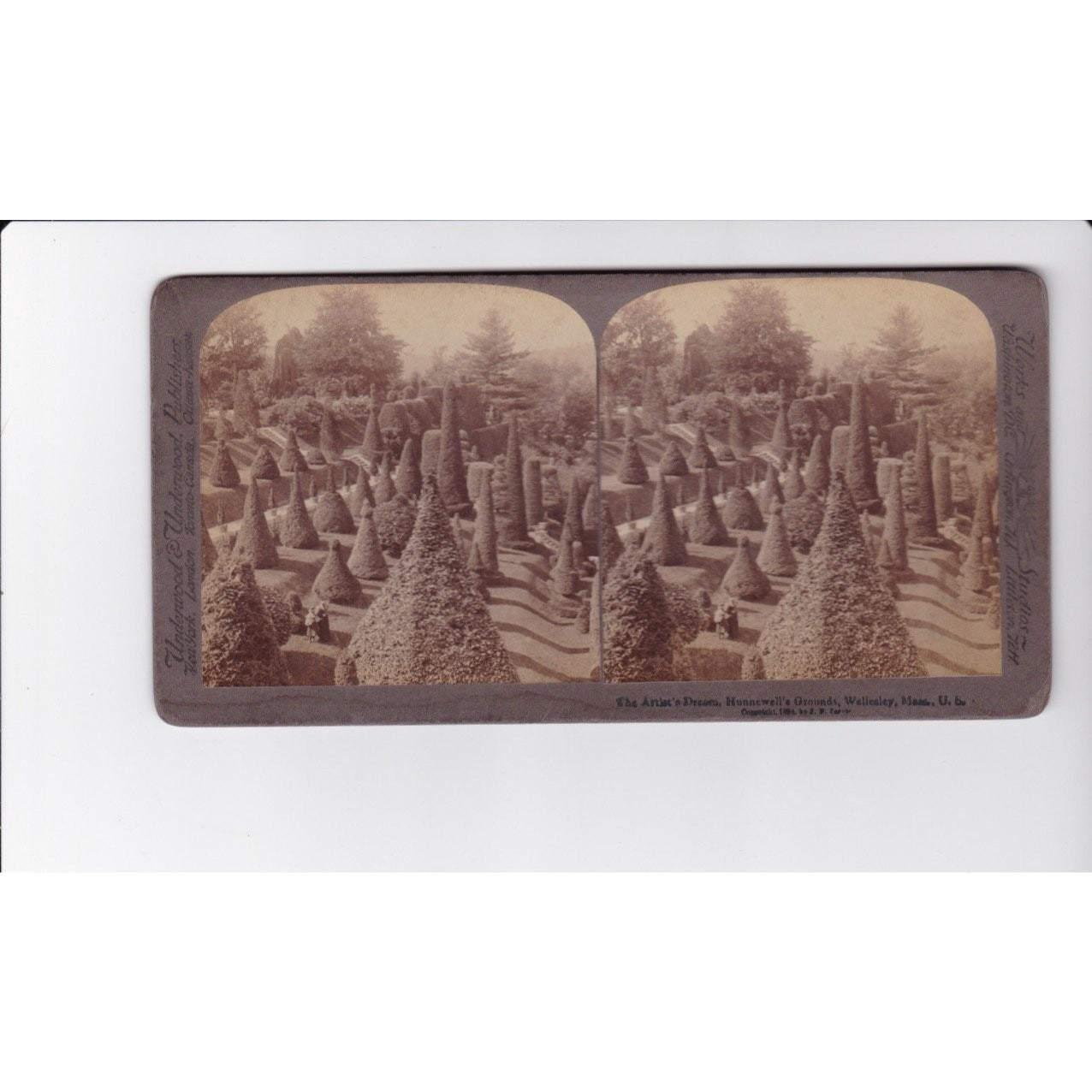 Stereoview Hunnewell's Grounds Wellesley MA 1884 Underwood & Underwood
