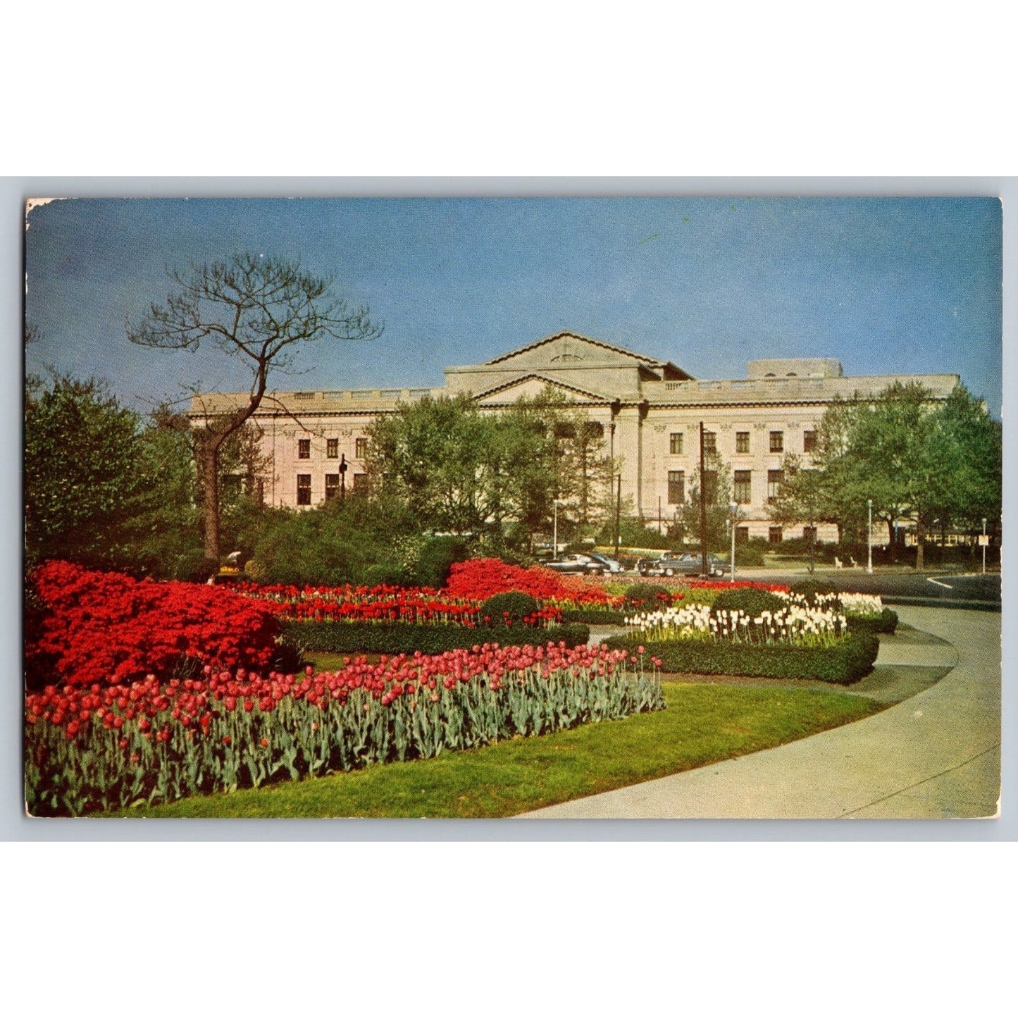 Philadelphia PA Pennsylvania Franklin Institute Logan Circle Spring Postcard