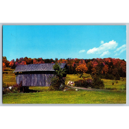 VT Vermont Covered Bridge and Cow Scenic Chrome Postcard Unused Geo B. Biggs