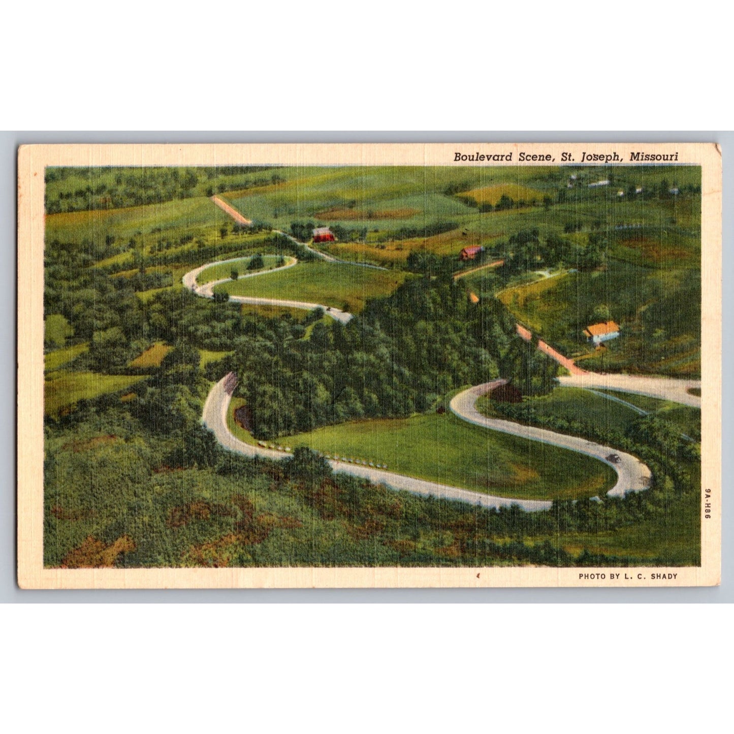 St Joseph MO Missouri Boulevard Scene 1930s White Border Postcard Unused Shady