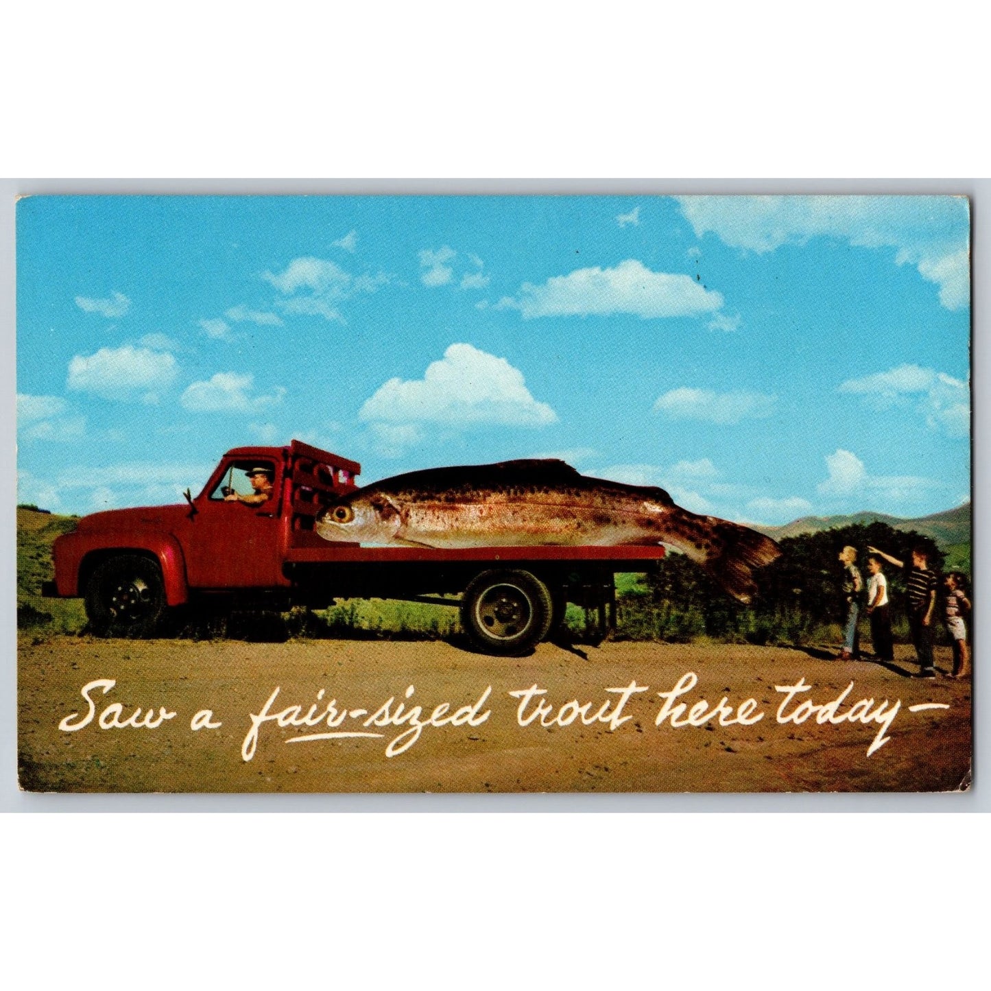 Comic Postcard Humorous Big Trout on Truck They Grow Big Here Mike Roberts