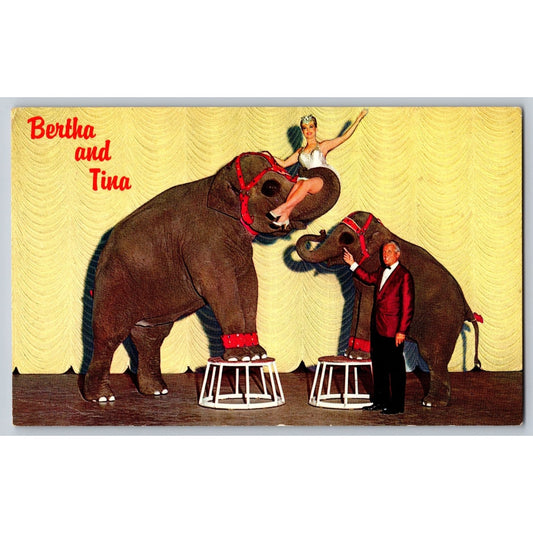 Sparks East Reno NV Nevada Circus Elephants John Ascuaga Nugget Chrome postcard