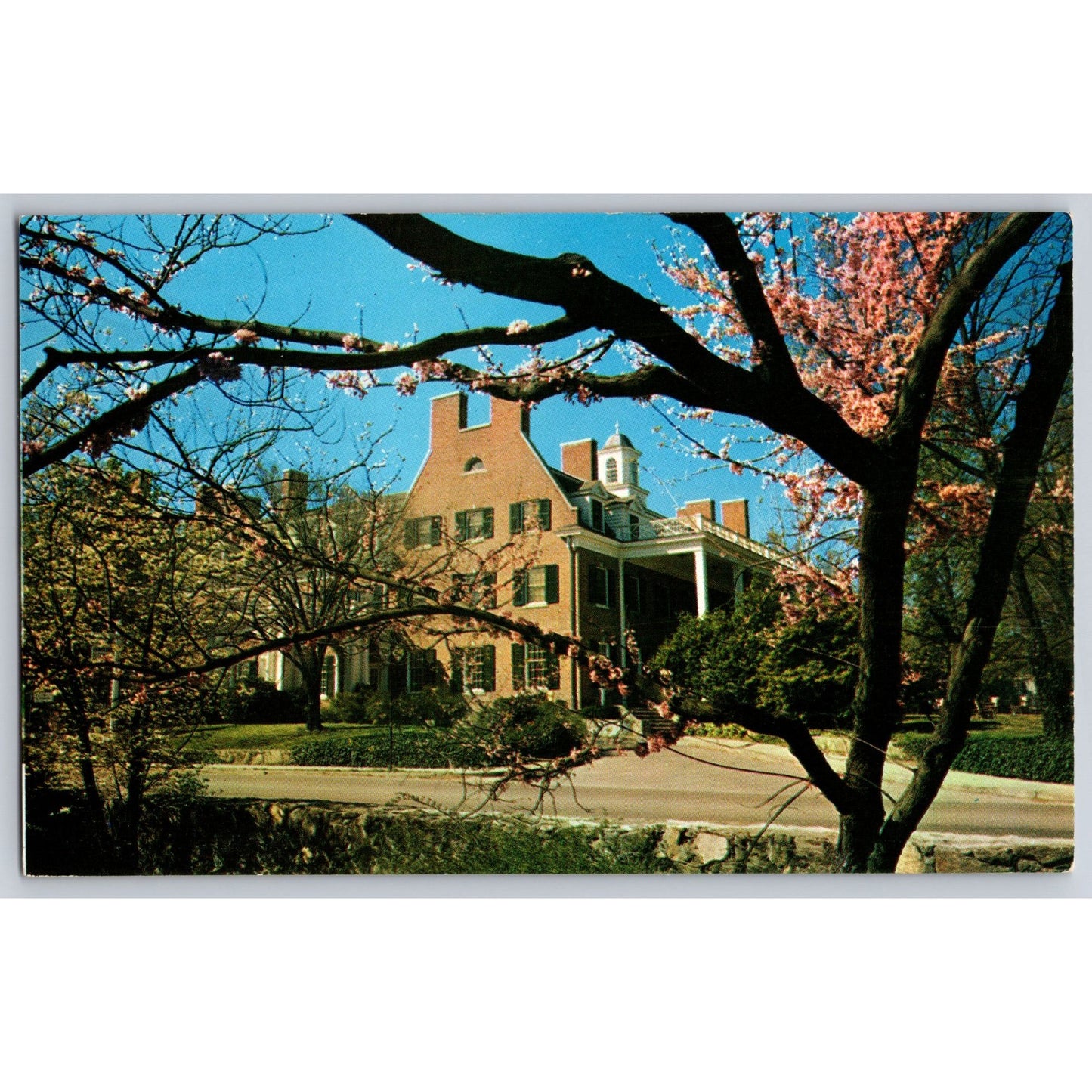 Chapel Hill NC North Carolina University The Carolina Inn Chrome Postcard