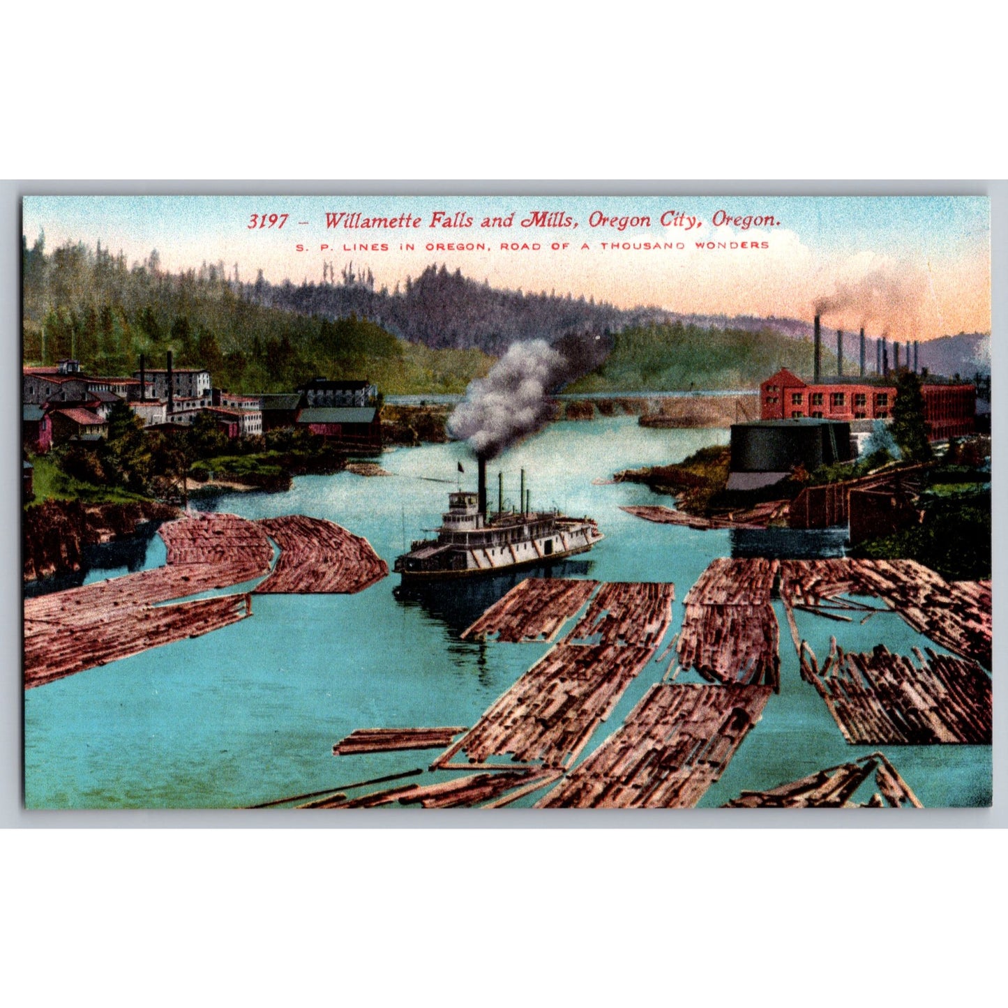 Oregon City OR Willamette Falls & Mills Lumber Divided Back Postcard Mitchell