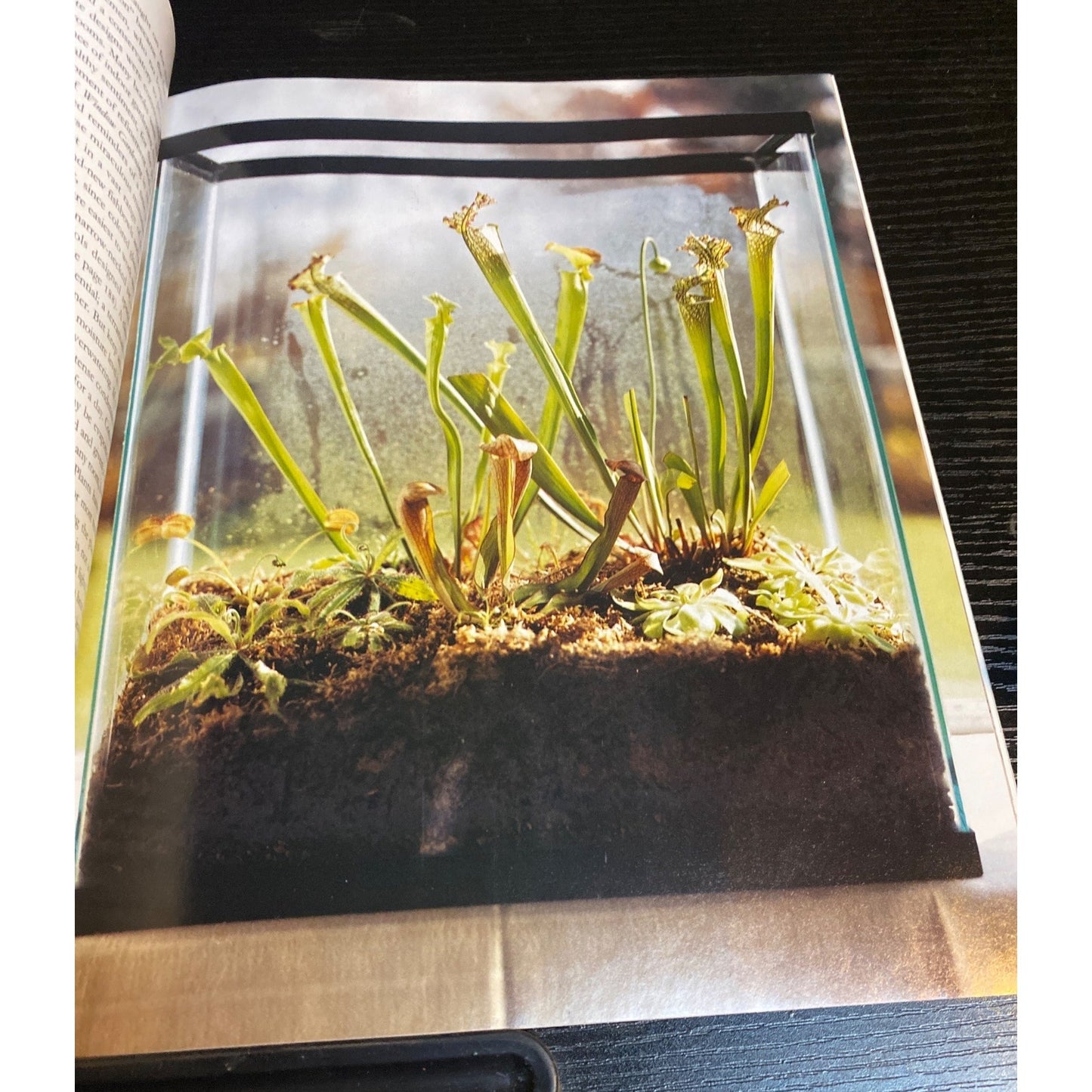 Martha Stewart Living Magazine April 1998 Terrariums Recipes Gardening Crafts