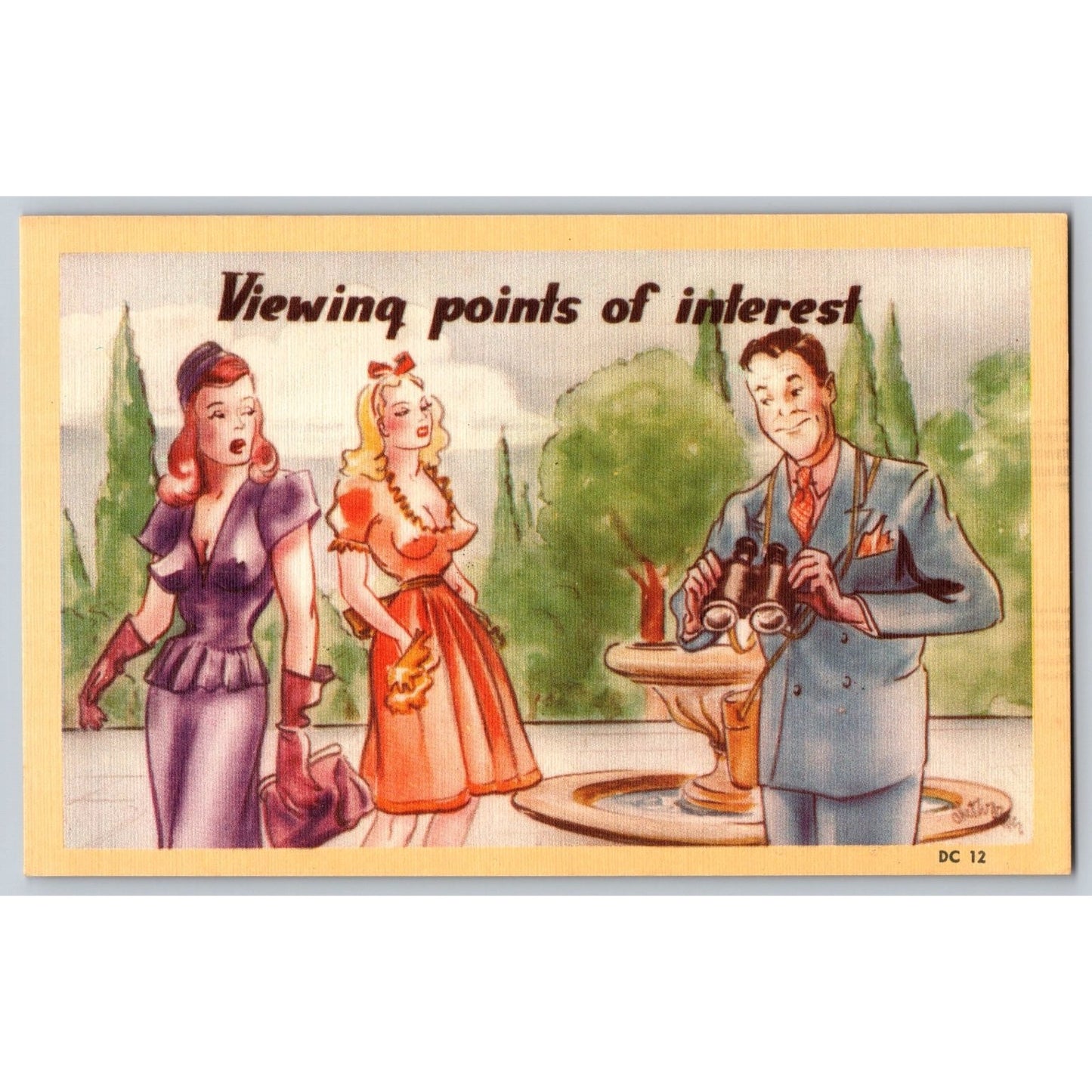 Comic Postcard Homurous Viewing Points of Interest 1940s Asheville Post Card