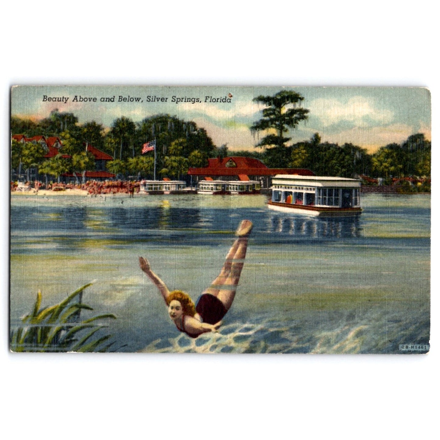 Silver Springs FL Florida Mermaid Glass Bottom Boat Linen Postcard Unused