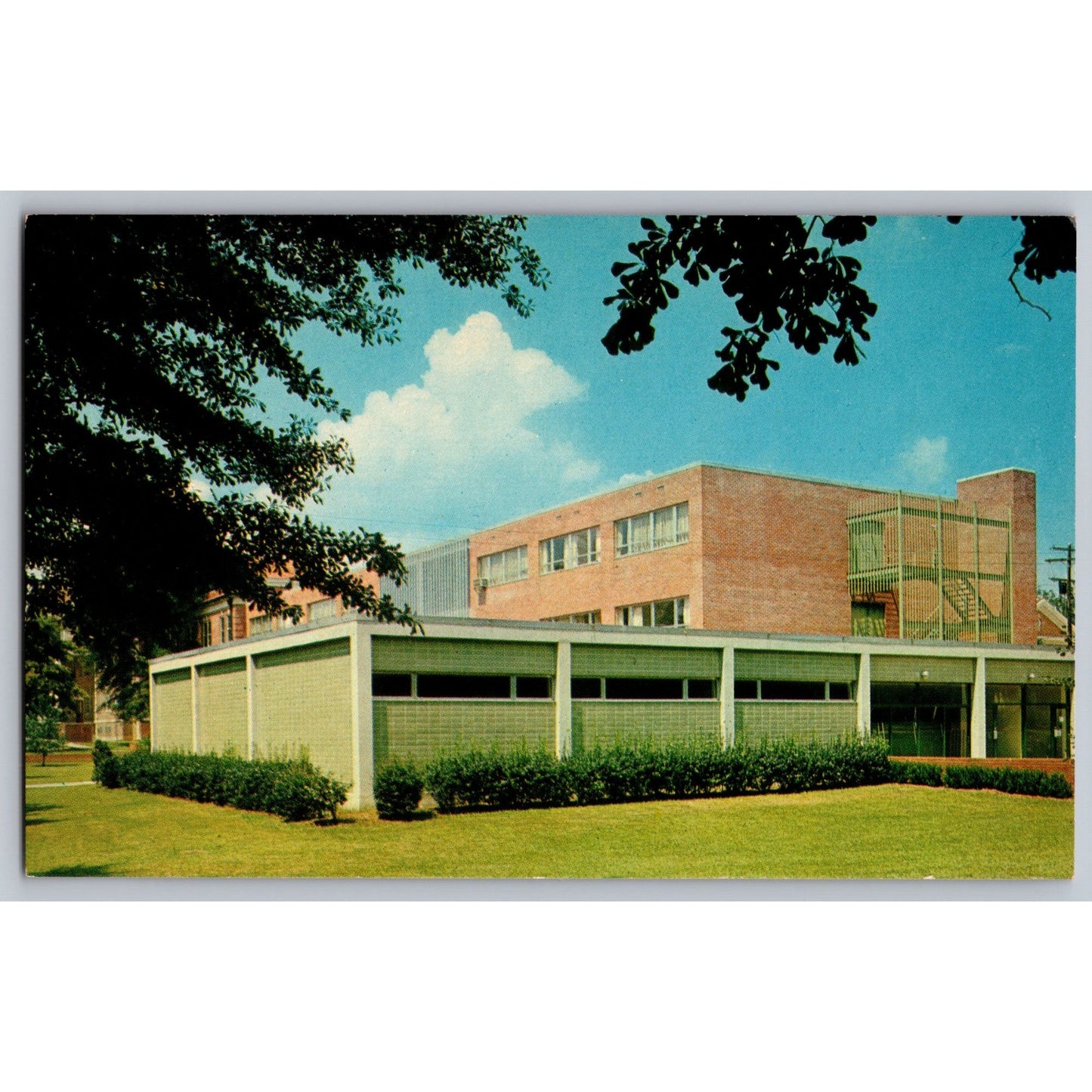 Hattiesburg MS University Of Southern Mississippi Campus Ol' Miss Postcard