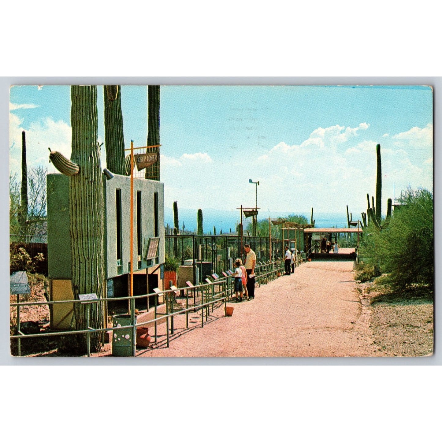 Postcard AZ Arizona Tucson Sonora Desert Museum Water Street Chrome Used 1966