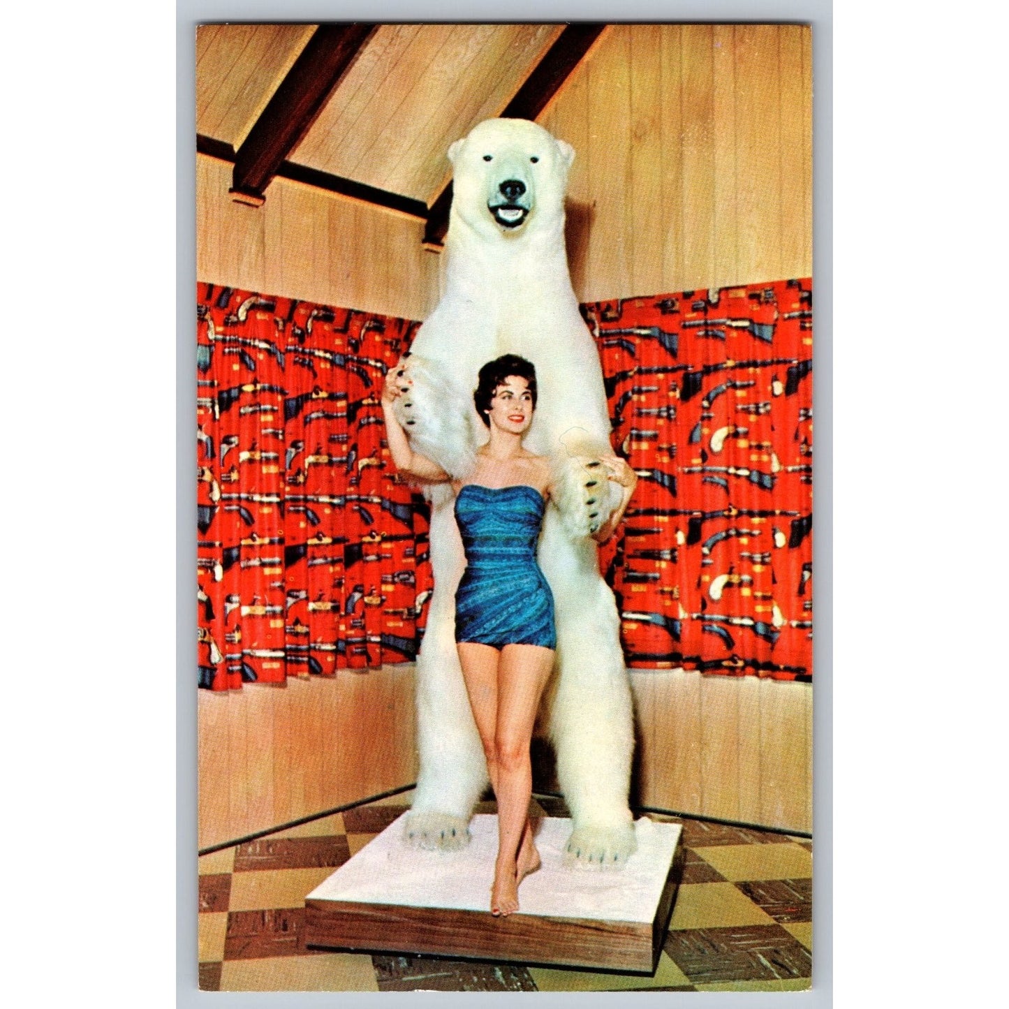 Harrisburg PA Pennsylvania Blue Mountain Hotel Polar Bear Exhibit Postcard