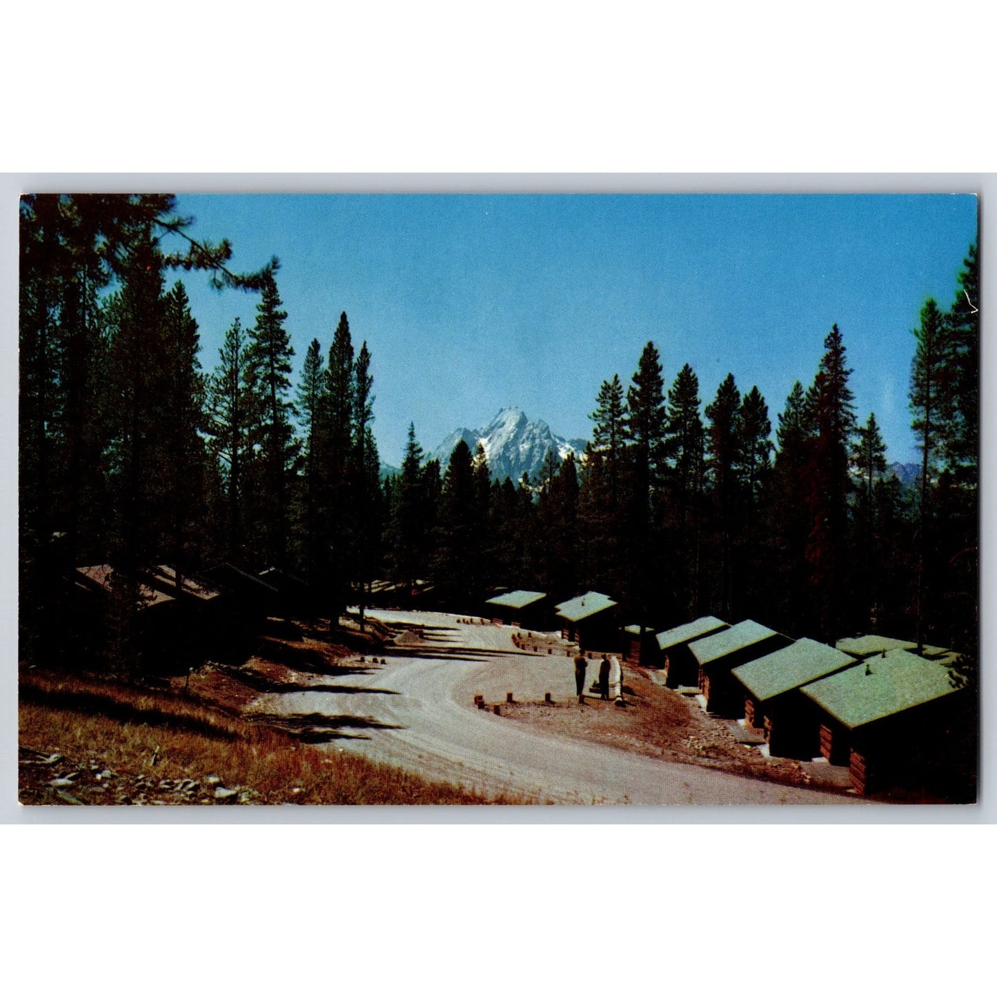 Moran WY Wyoming Grand Teton National Park Colter Bay Cabins Chrome Postcard