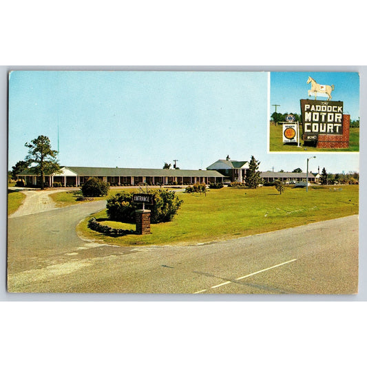 Manning SC South Carolina Paddock Motor Court Motel Chrome Postcard Unused