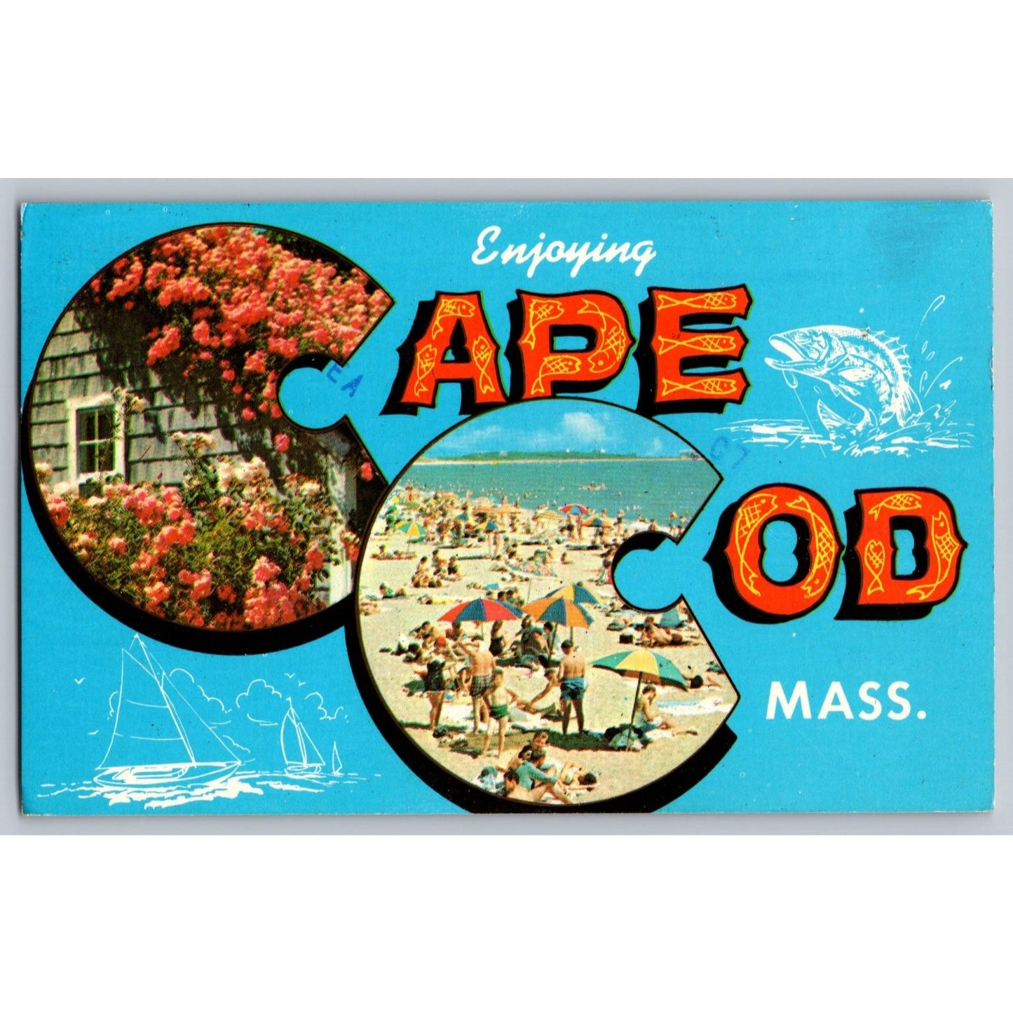 Cape Cod MA Massachusetts Beach & Roses 1979 Chrome Postcard Used