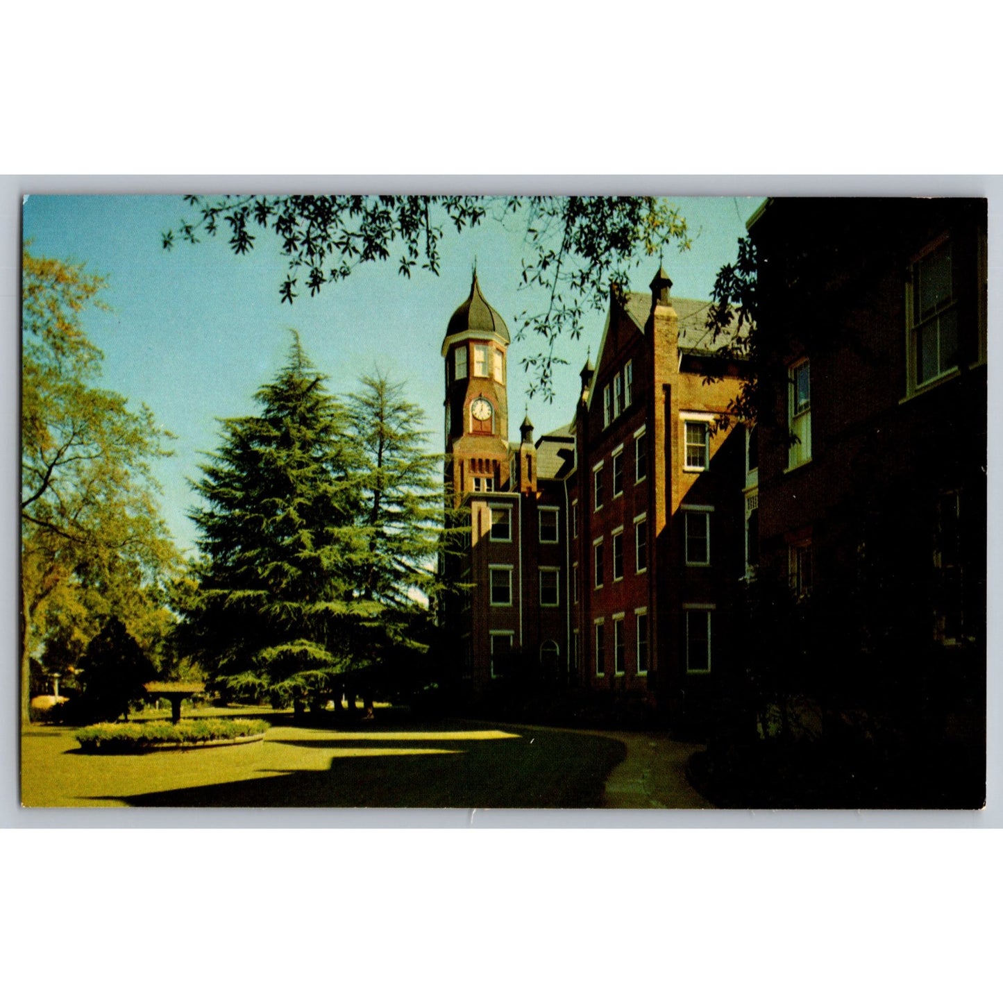 Columbus MS Mississippi State College Women Clock Tower Chrome Postcard Unused