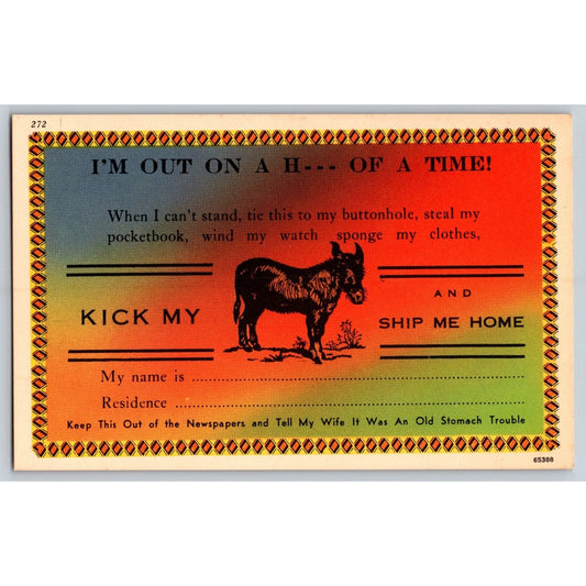 Comic Postcard Humorous I'm Out on a H--- of a Time! Donkey Postcard