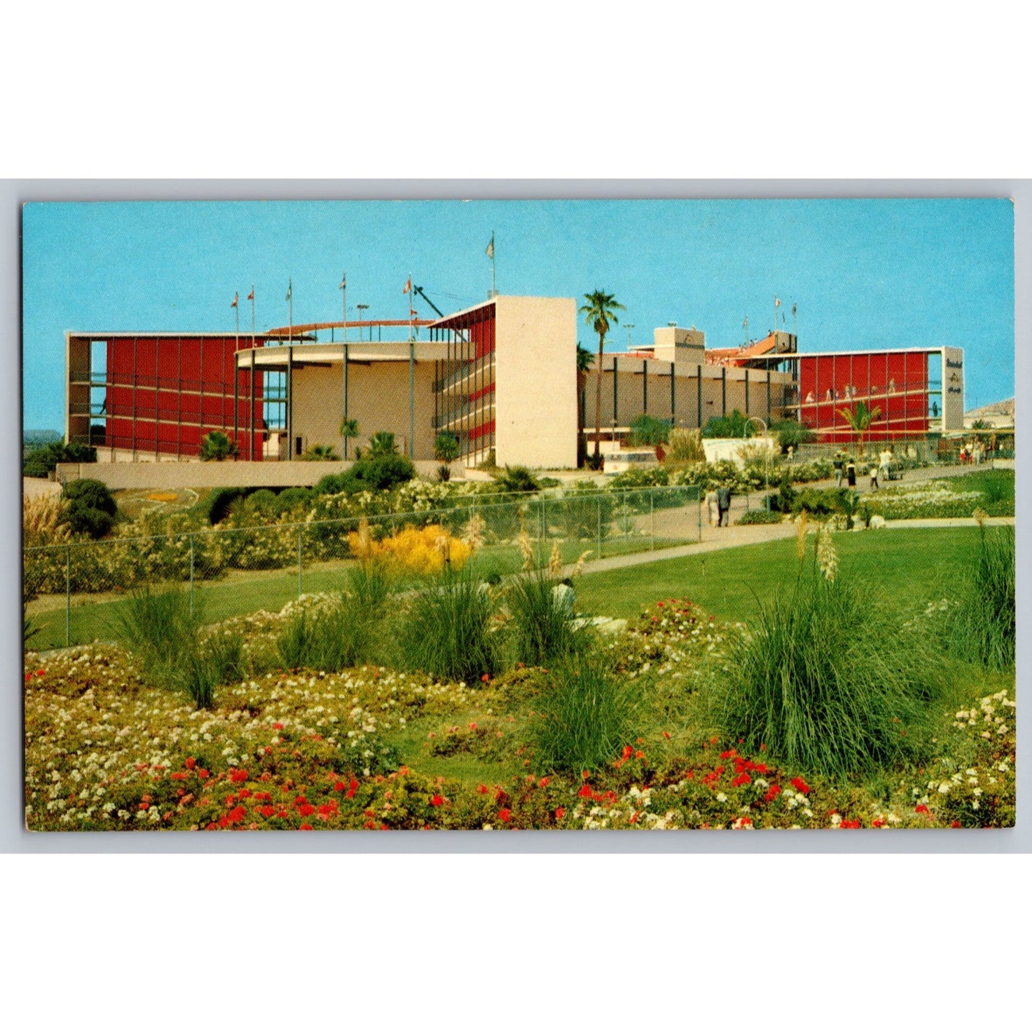 Redondo Beach CA California Marineland Oceanarium Of The Pacific 1960s Postcard