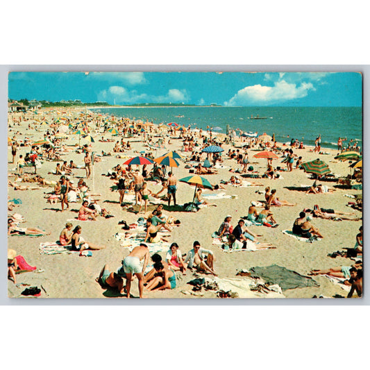 Double Beach CT Connecticut Greetings From 1950s Chrome Postcard Unused