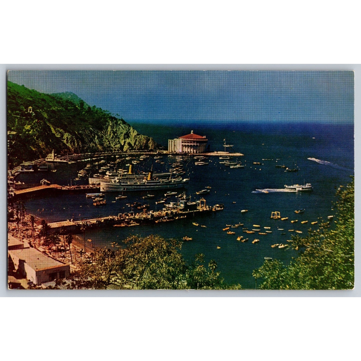 Catalina Island CA California Crescent Bay Chrome Postcard Unused