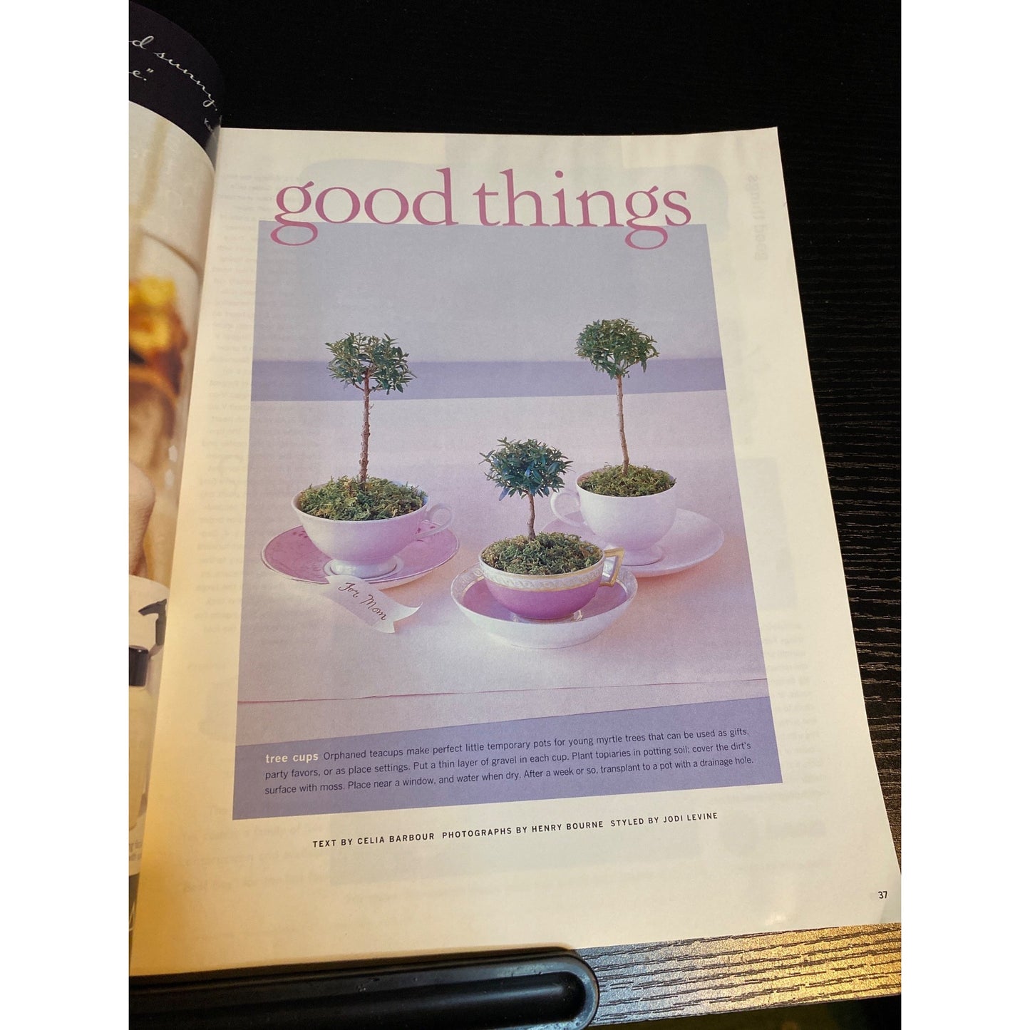 Martha Stewart Living Magazine February 1997 Homekeeping Recipes Crafts Florida Shelling Vintage