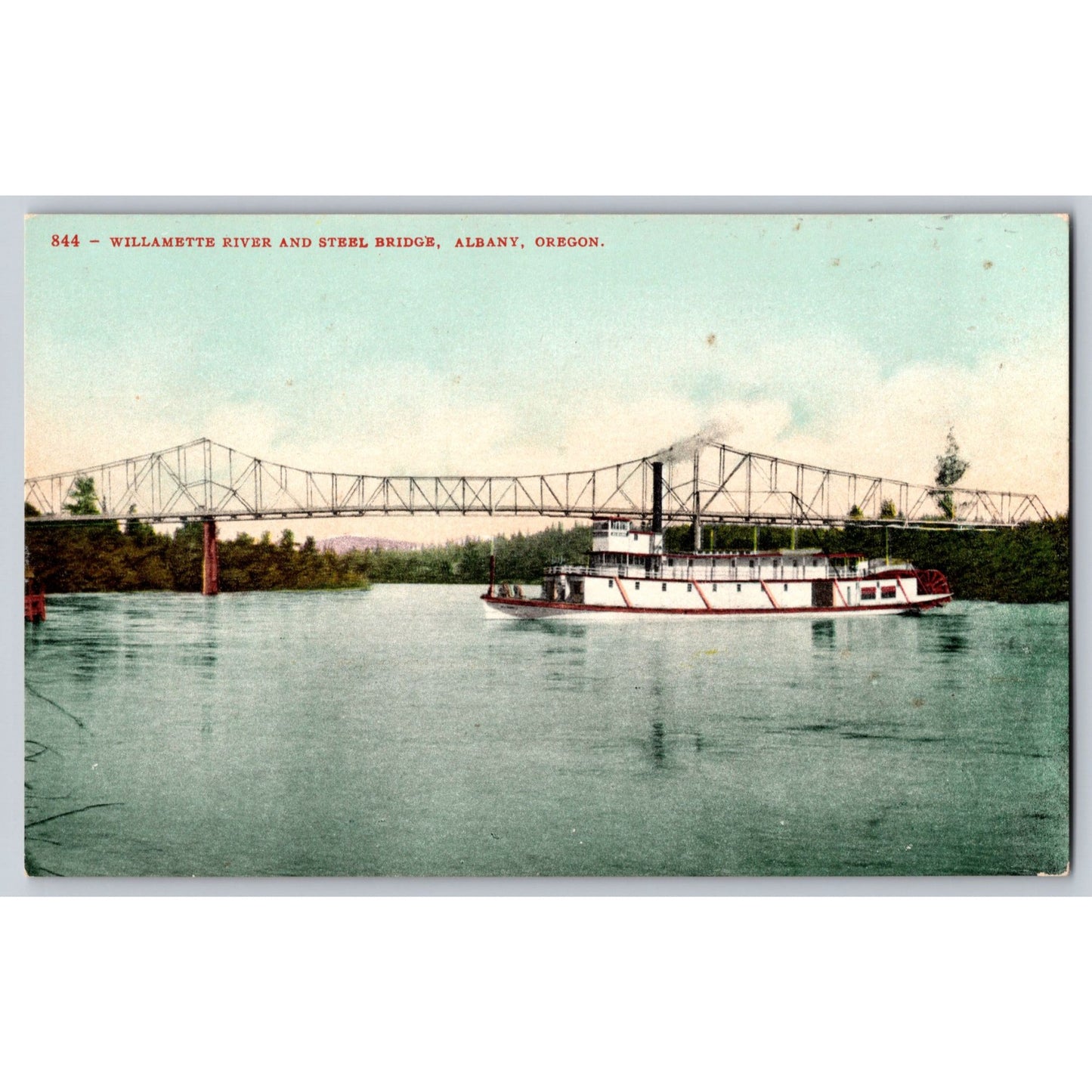 Albany OR Oregon Willamette River & Steel Bridge Divided Back Postcard Unused