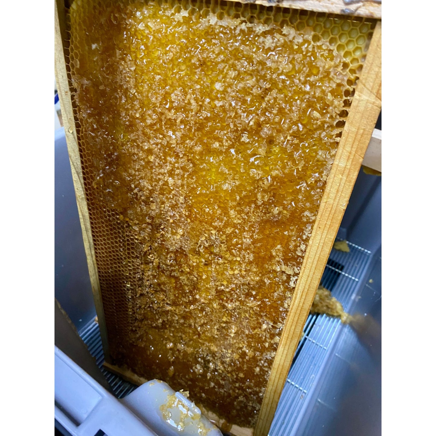 Honey from Smoot's Farm Beehives 8oz