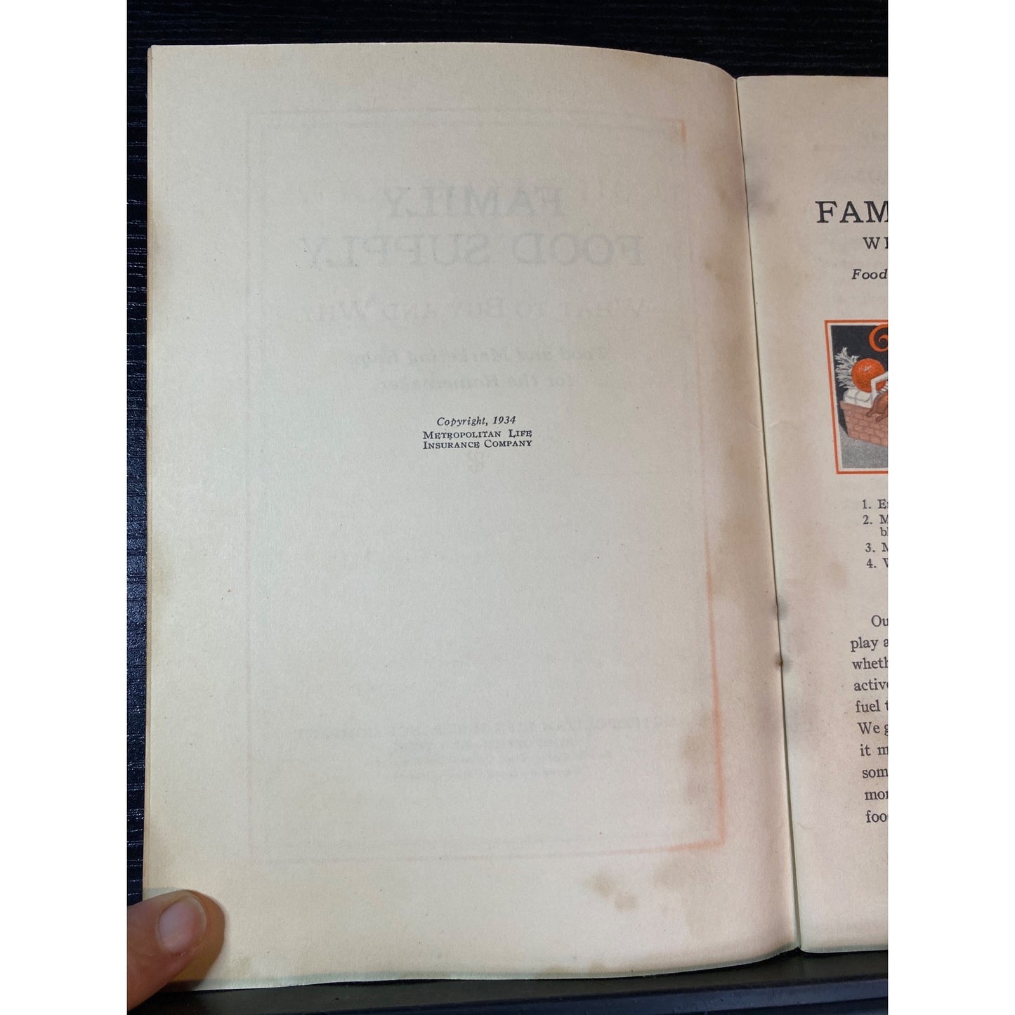 The Family Food Supply 1934 Metropolitan Life Insurance Co Paperback