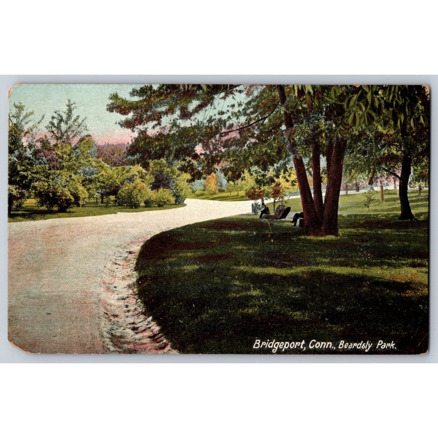 Bridgeport CT Connecticut Beardsley Park 1906 Undivided Back Postcard