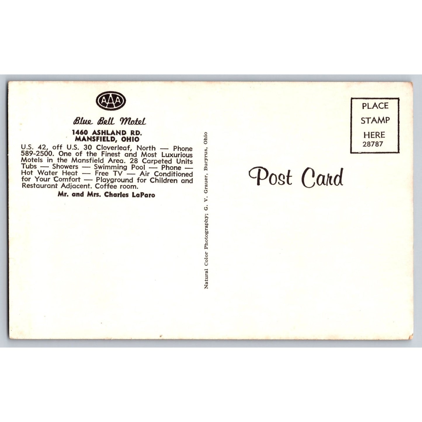 Mansfield OH Ohio Blue Bell Motel Chrome Postcard