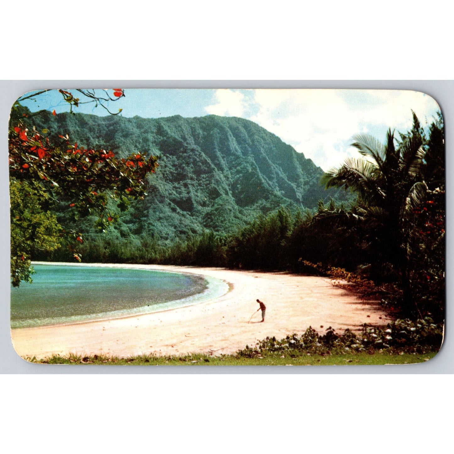 Kahana Bay Oahu HI Hawaiian Chrome Postcard Dave Martin