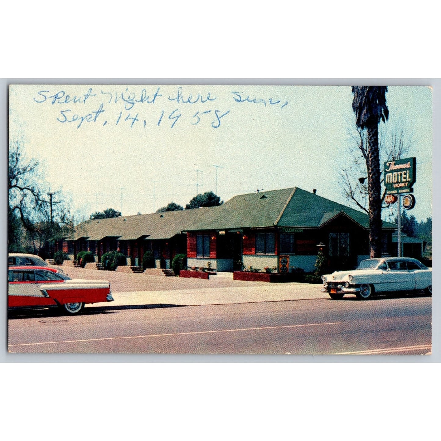 San Fernando CA California Thomas Motel 1950s Chrome Postcard