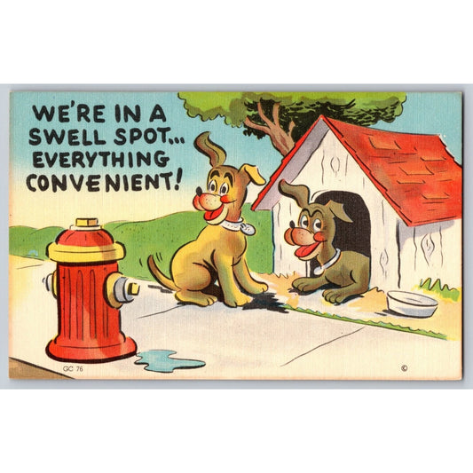 Comic Postcard Humorous Dogs We're In a Swell Spot Linen Unposted
